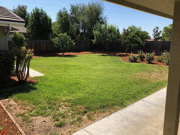 large backyard with producing fruit trees and roses