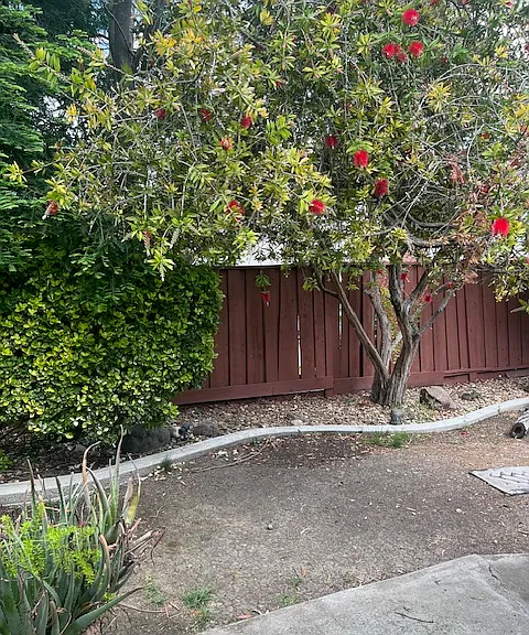 4334 Oleander St — Photo 27