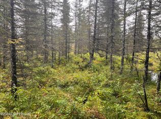 L2b4 Old Sterling Hwy, Anchor Pt, AK 99556