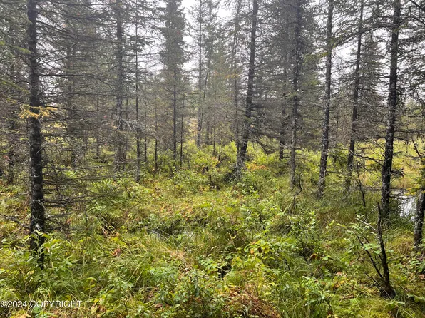 L2b4 Old Sterling Hwy, Anchor Pt, AK 99556