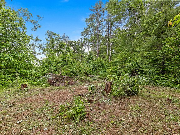 4th image of 244 Luminary Firetower Rd