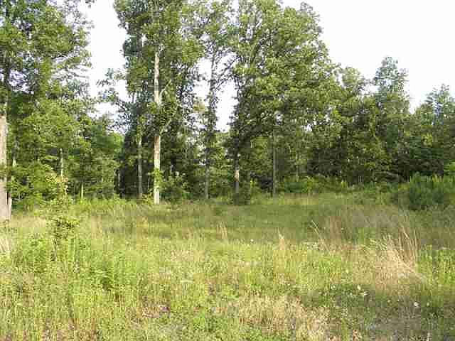 2nd image of LOT 22 Woodridge Subdivision