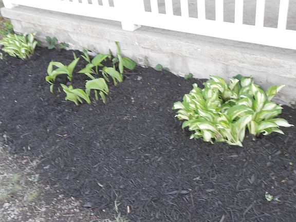 5th image of 145 Tabor Rd