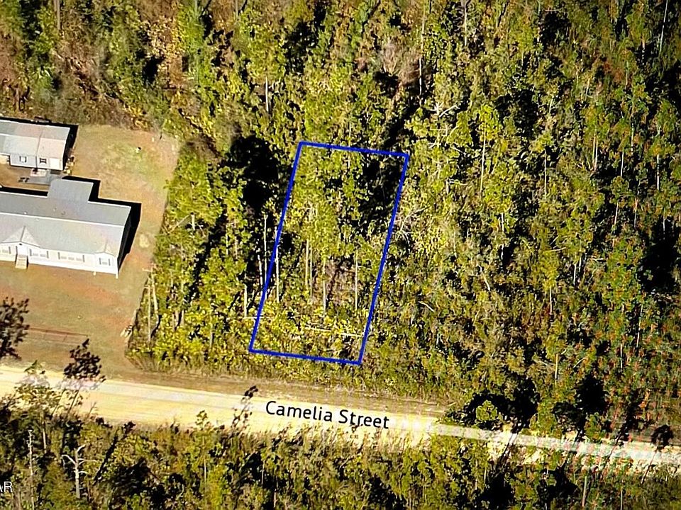 2nd image of 12009 Camellia St