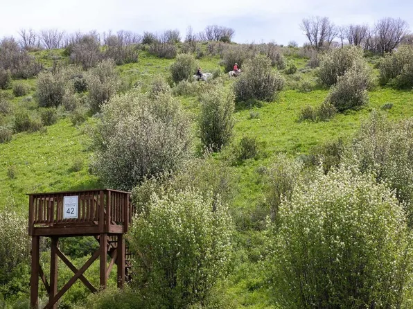 34375 Waterside Ct, Steamboat Springs, CO 80487