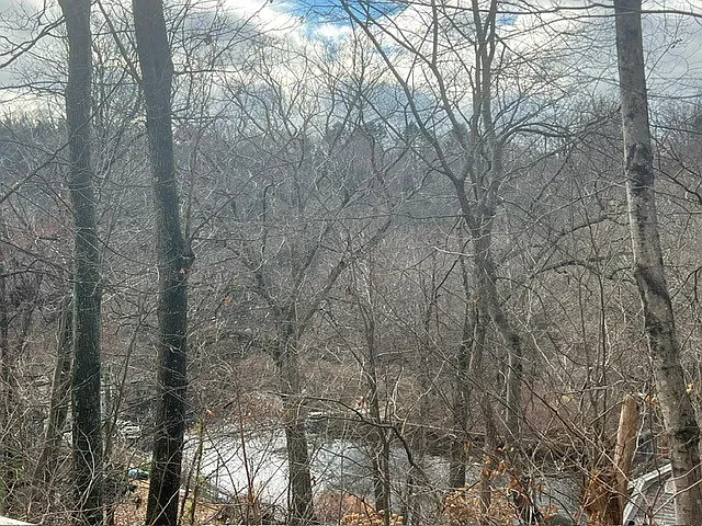 75 Manor Rd — Photo 30