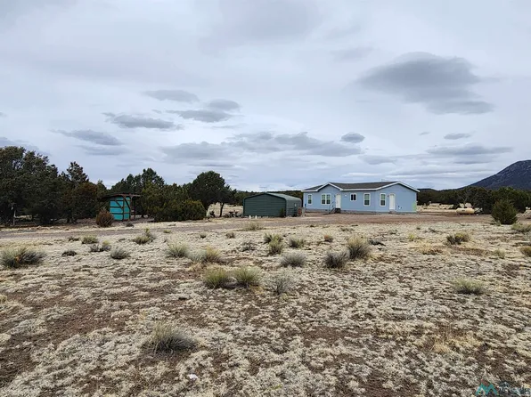 16 Branding Iron Rd, Quemado, NM 87829