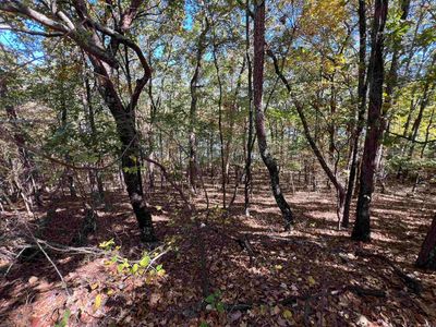0 Angel Way, Clinton, AR, 72031