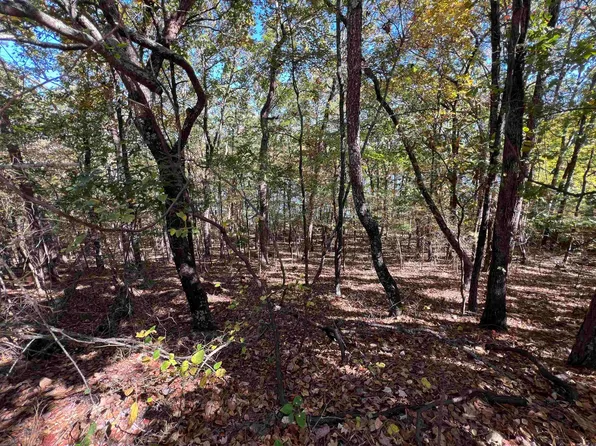 0 Angel Way, Clinton, AR 72031
