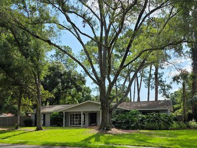 8313 Pat Blvd, Tampa, FL, 33615
