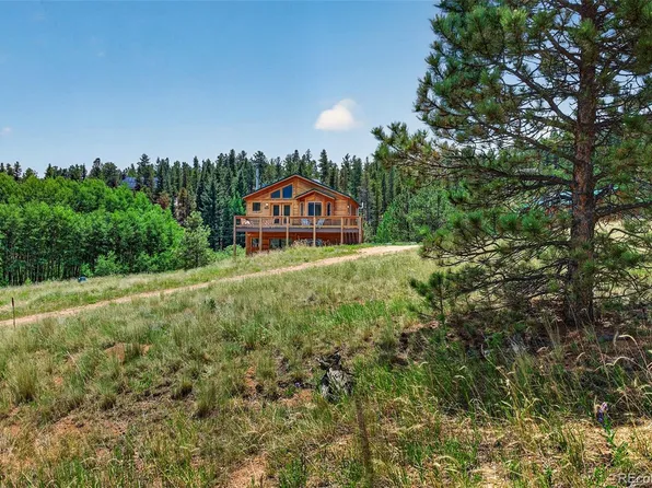 1328 Clark Road, Bailey, CO 80421