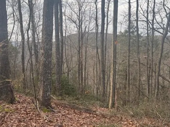 0 Davidson Dr Lot 22, Monterey, TN 38574