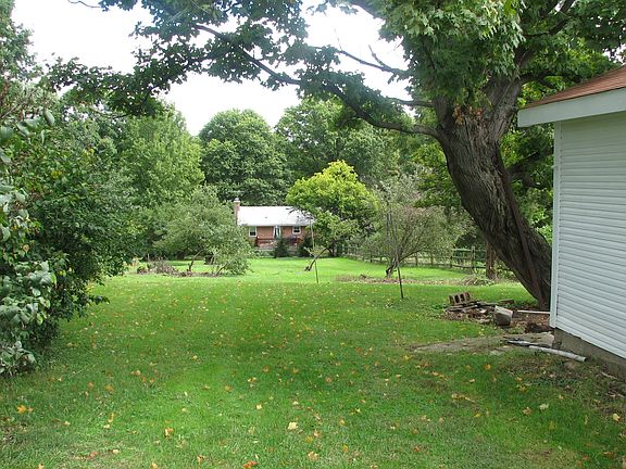 backyard-many flowering shrubs, perennials, fruit trees