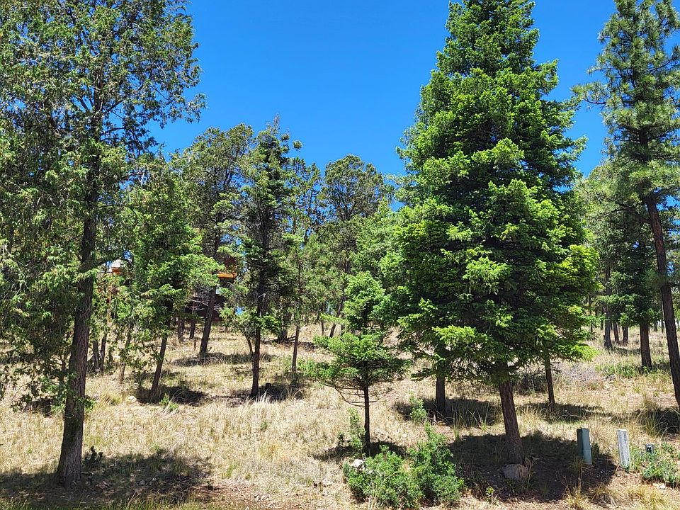 2nd image of 303 Crown Dr