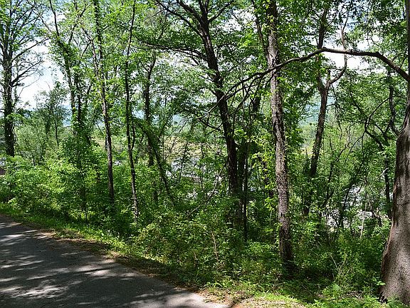 5th image of 2668 Lilly Dr