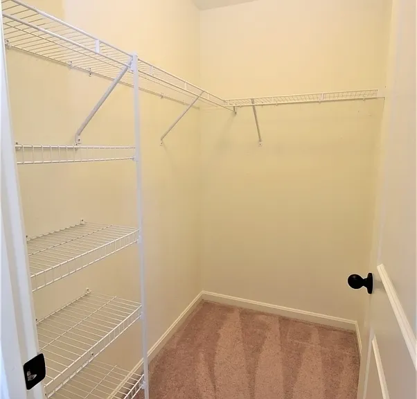 917 Saint Martins Loop — Photo 21