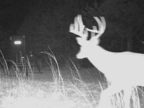 3rd image of 337897 E 903rd Rd