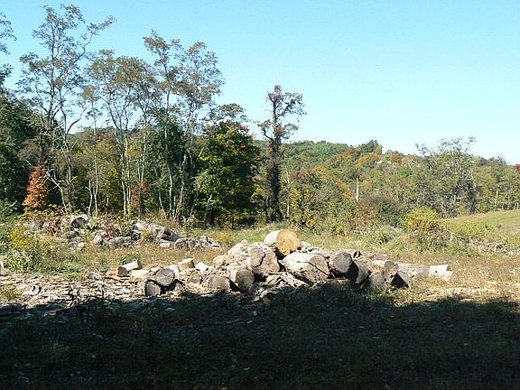 4th image of 538 Sugar Camp Ln