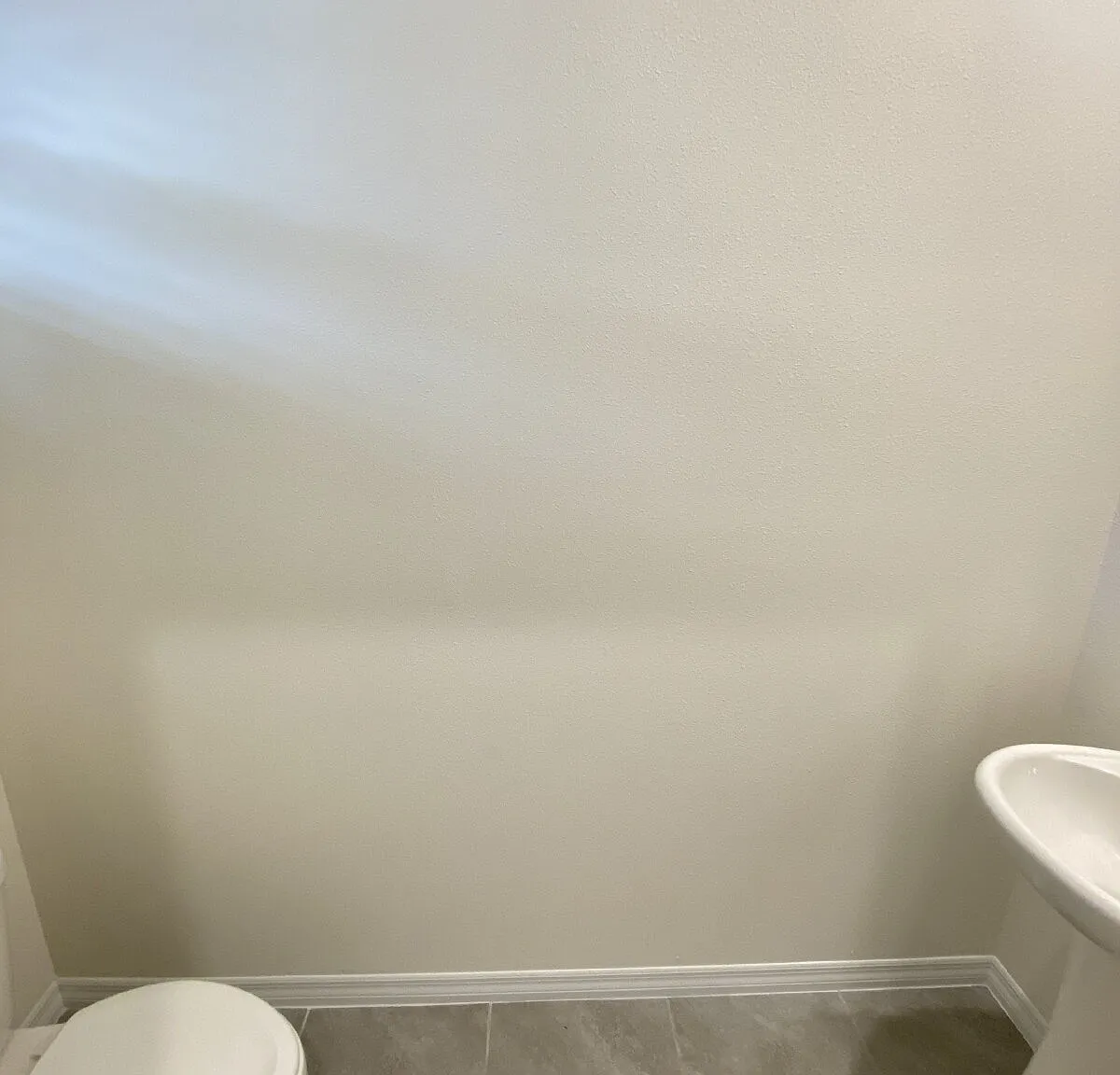 32238 Turtle Grace Loop, Wesley Chapel, FL 33545 — Photo 4