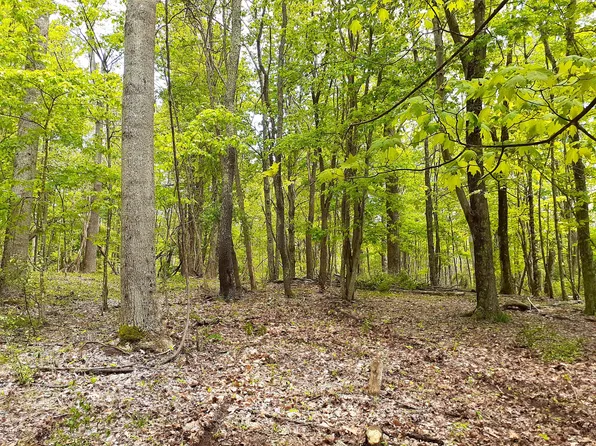1 Muddy Creek Mountain Rd, Alderson, WV 24910