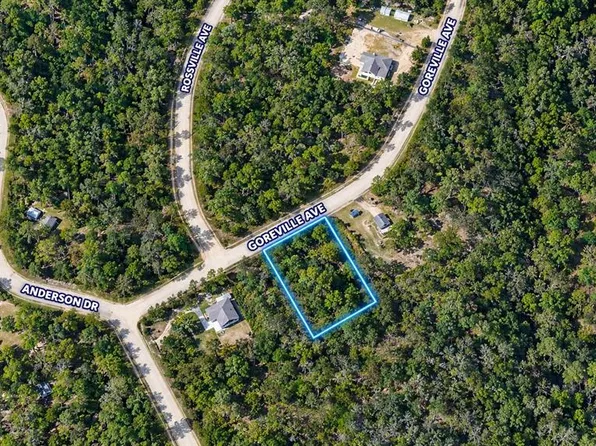 GOREVILLE AVENUE LOT 12, ALFORD, FL 32420