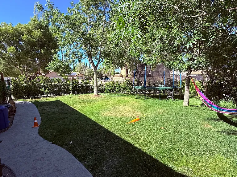 458 Fantasy St — Photo 18