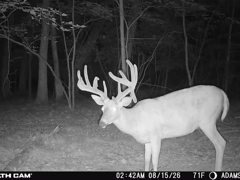 1st image of Lots 3 4 Dover