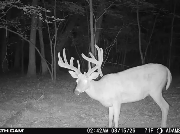 Lots 3 4 Dover, Adams, WI 53910