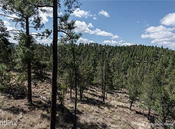 Get lost in the beauty of nature!