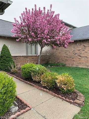 2nd image of 32970 Chapman Cir #40