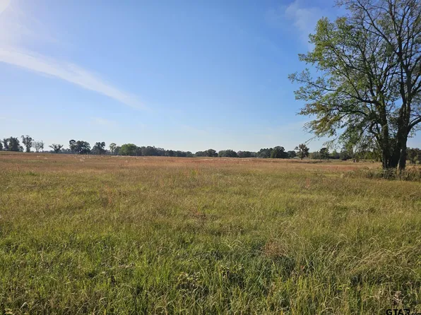 16 County Road 3270, Mount Pleasant, TX 75455