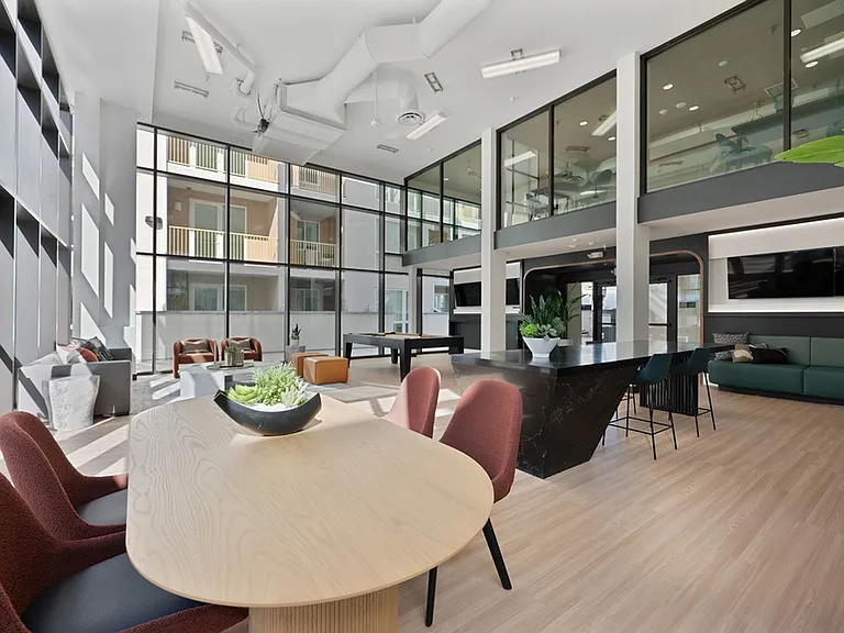 Begonia Place Luxury Apartments — Photo 29