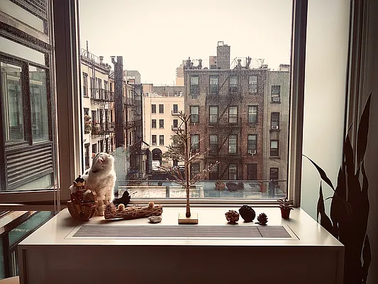 Rented by Gulia Wang, LREB | media 32