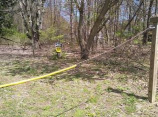 0 Stoll Rd, Haslett, MI 48840