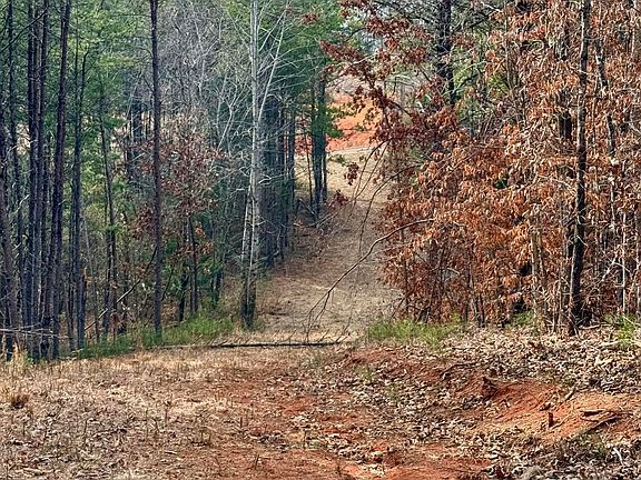 2nd image of Lots 8 & 9 Curtis Rd