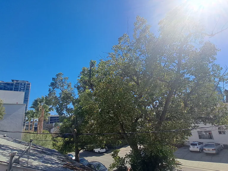 5944 Carlton Way — Photo 18