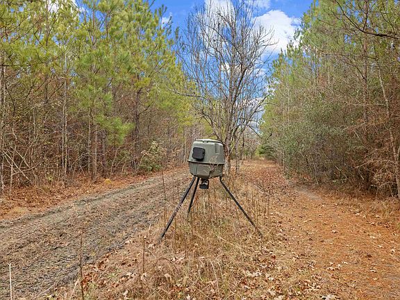 3rd image of TBD 183 Acres Blakely Rd. #Blakely Plantation