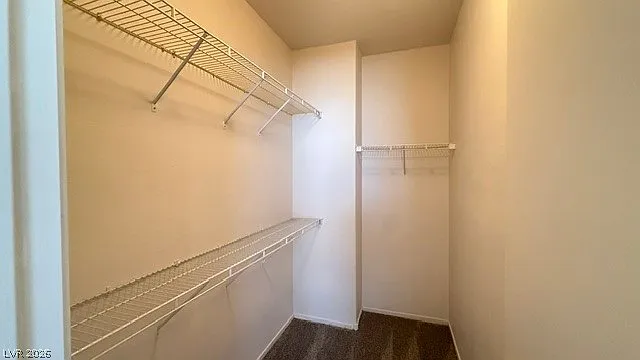 2404 Plaid Cactus Ct — Photo 10