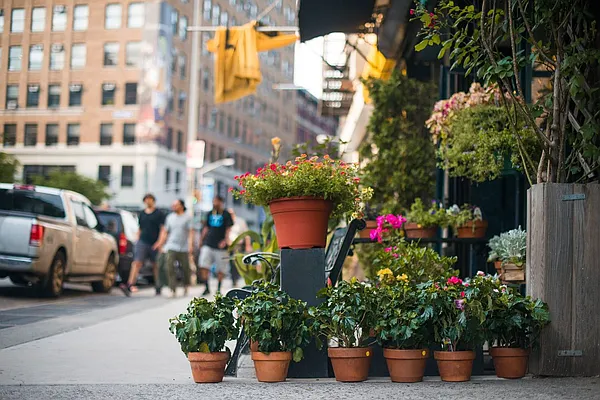 Rented by Compass | media 19