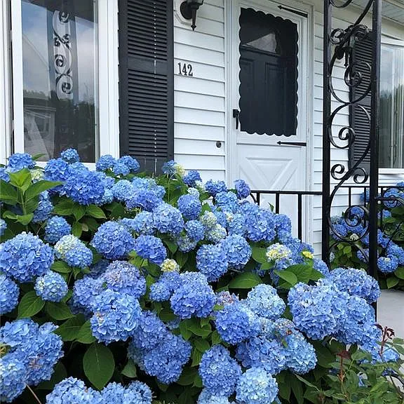142 Renfrew Ave — Photo 23