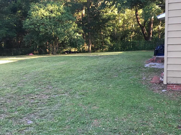 back yard