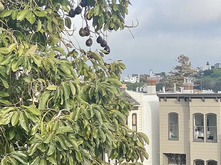 2645 Mission St #7 — Photo 36