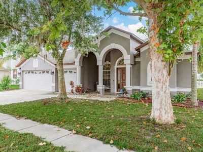 3115 Chessington Dr, Land O Lakes, FL, 34638