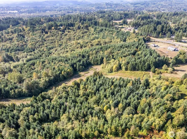 0 Lot 6 Spirit Lake Parcel WK3612011 Highway, Castle Rock, WA 98611