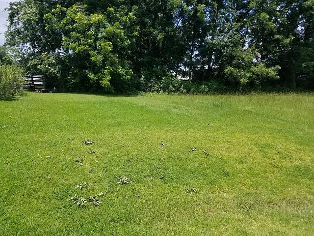 2nd image of 112 Firefly Ln