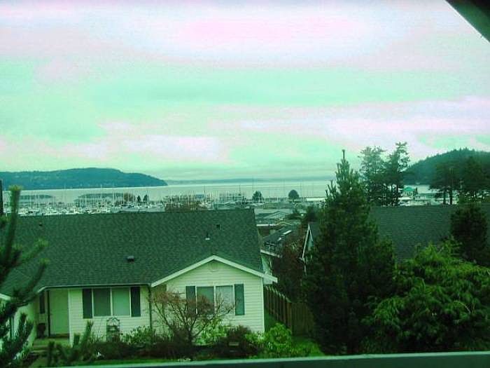 Burrows Bay Views