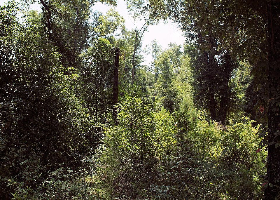 Vacant land.