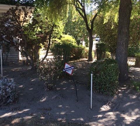 3rd image of 1804 W Park Dr