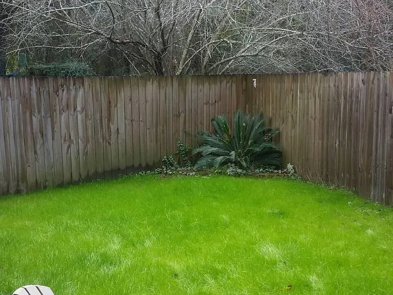 backyard left side and Patio