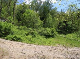 9999 Hotchkiss Ln, Candler, NC 28715